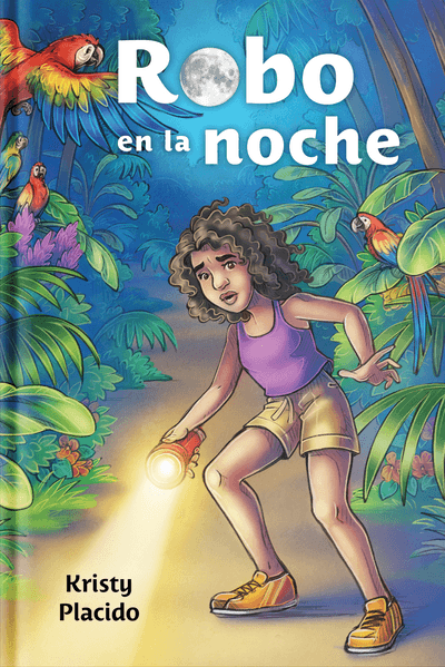 Robo en la noche - Wayside Publishing